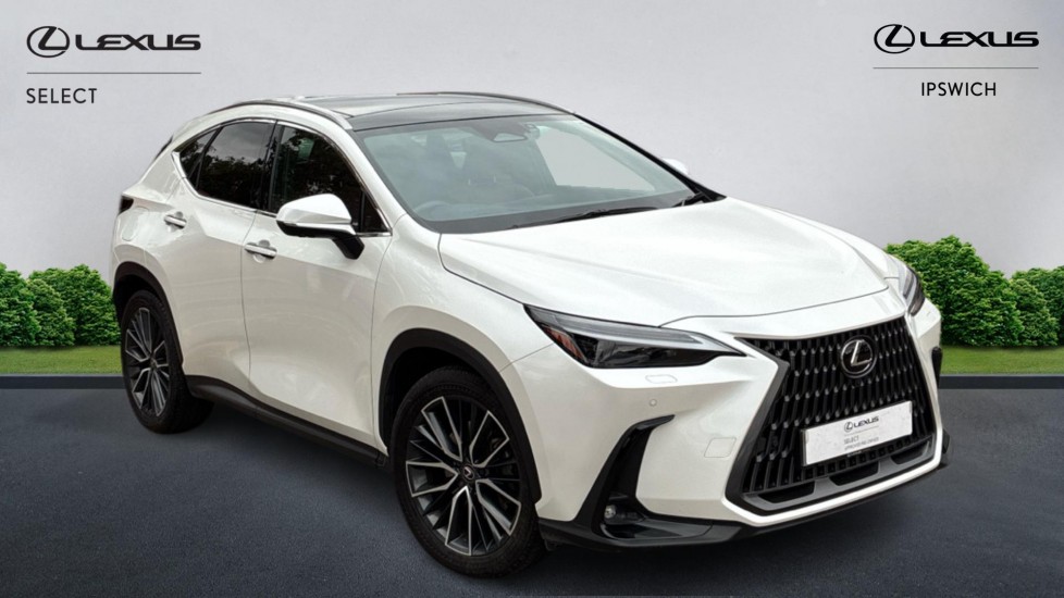 2024 Lexus NX