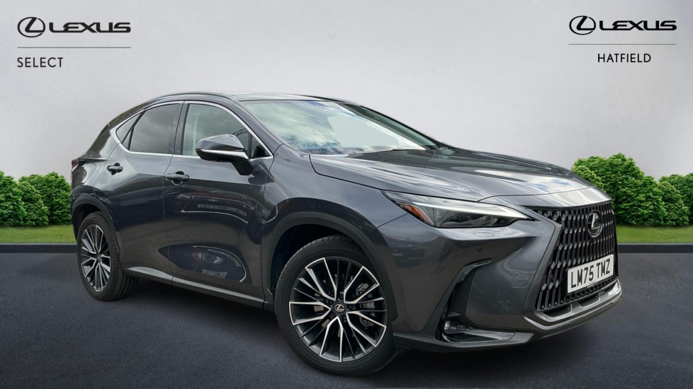 2025 Lexus NX