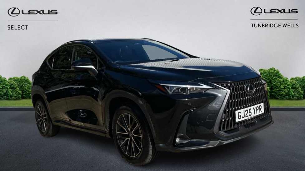 2025 Lexus NX
