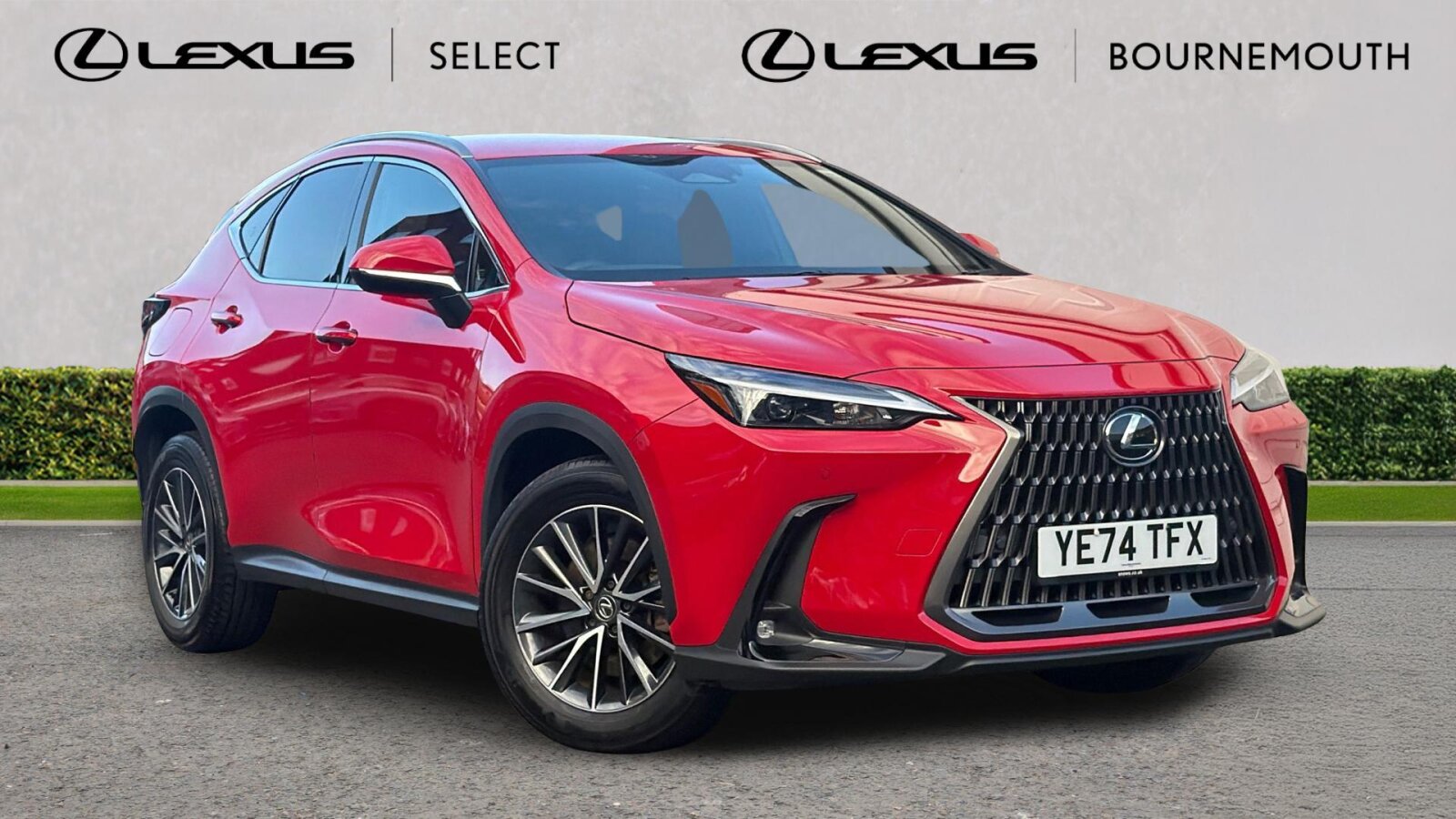 2024 Lexus NX