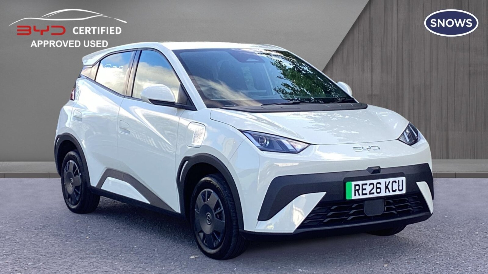 2026 Byd Dolphin Surf