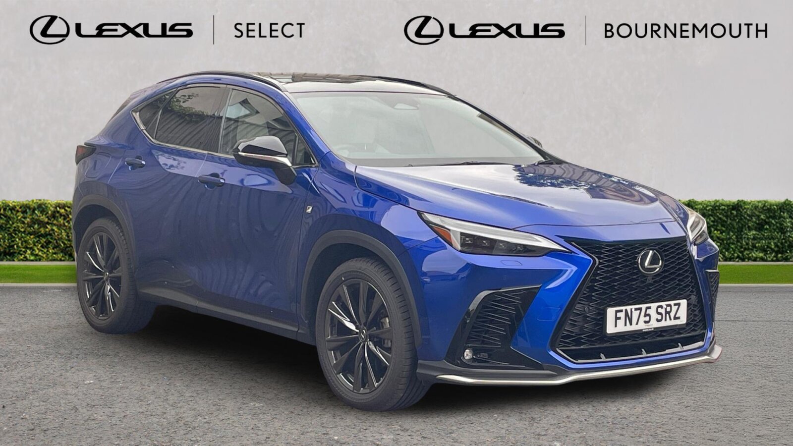 2025 Lexus NX