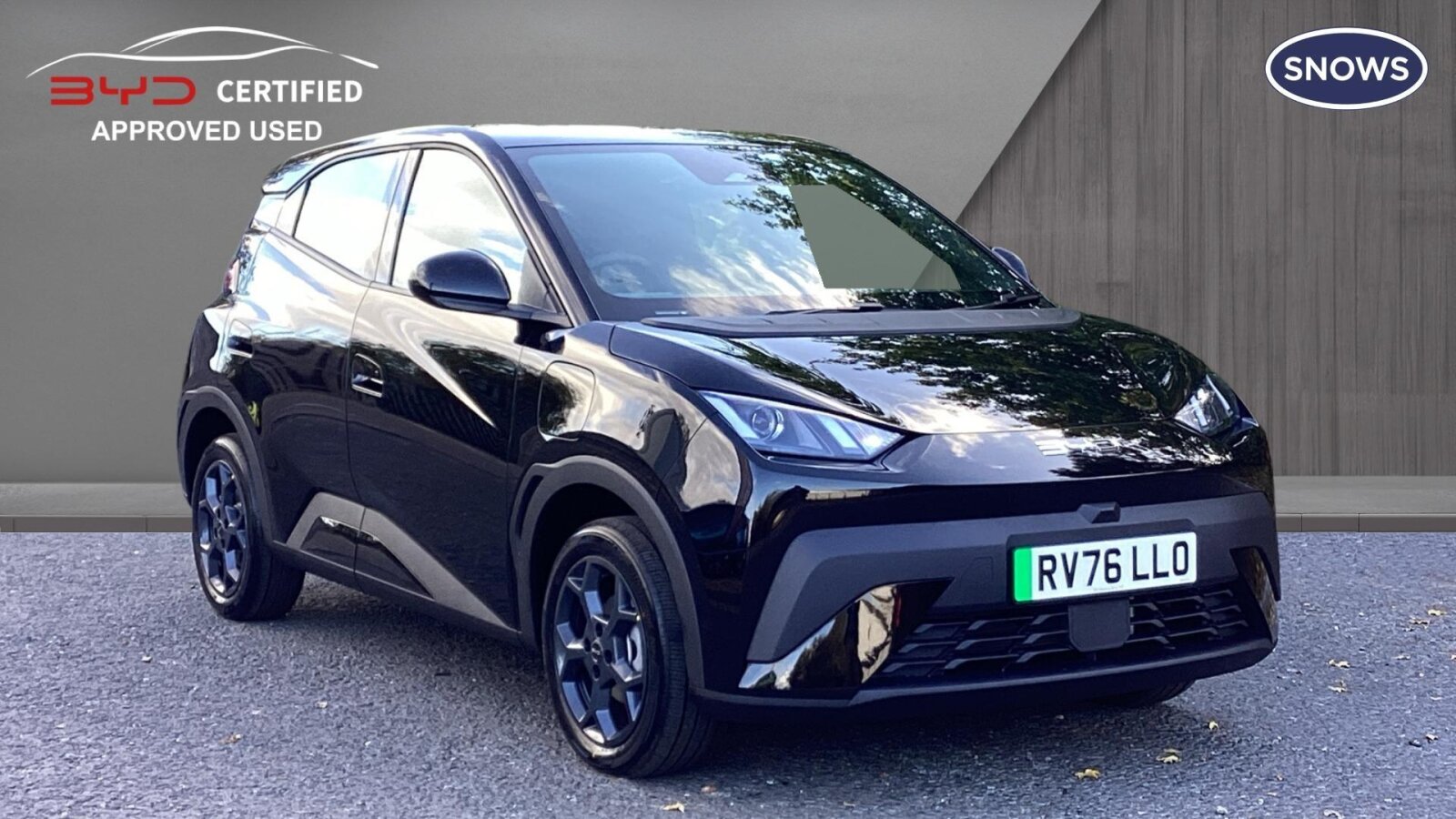 2026 Byd Dolphin Surf