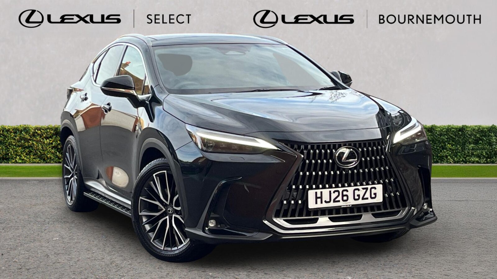 2026 Lexus NX