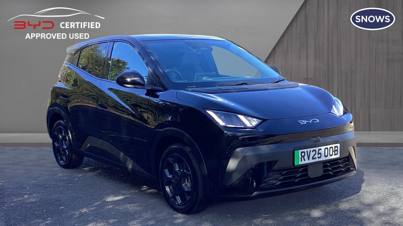 2025 Byd Dolphin Surf