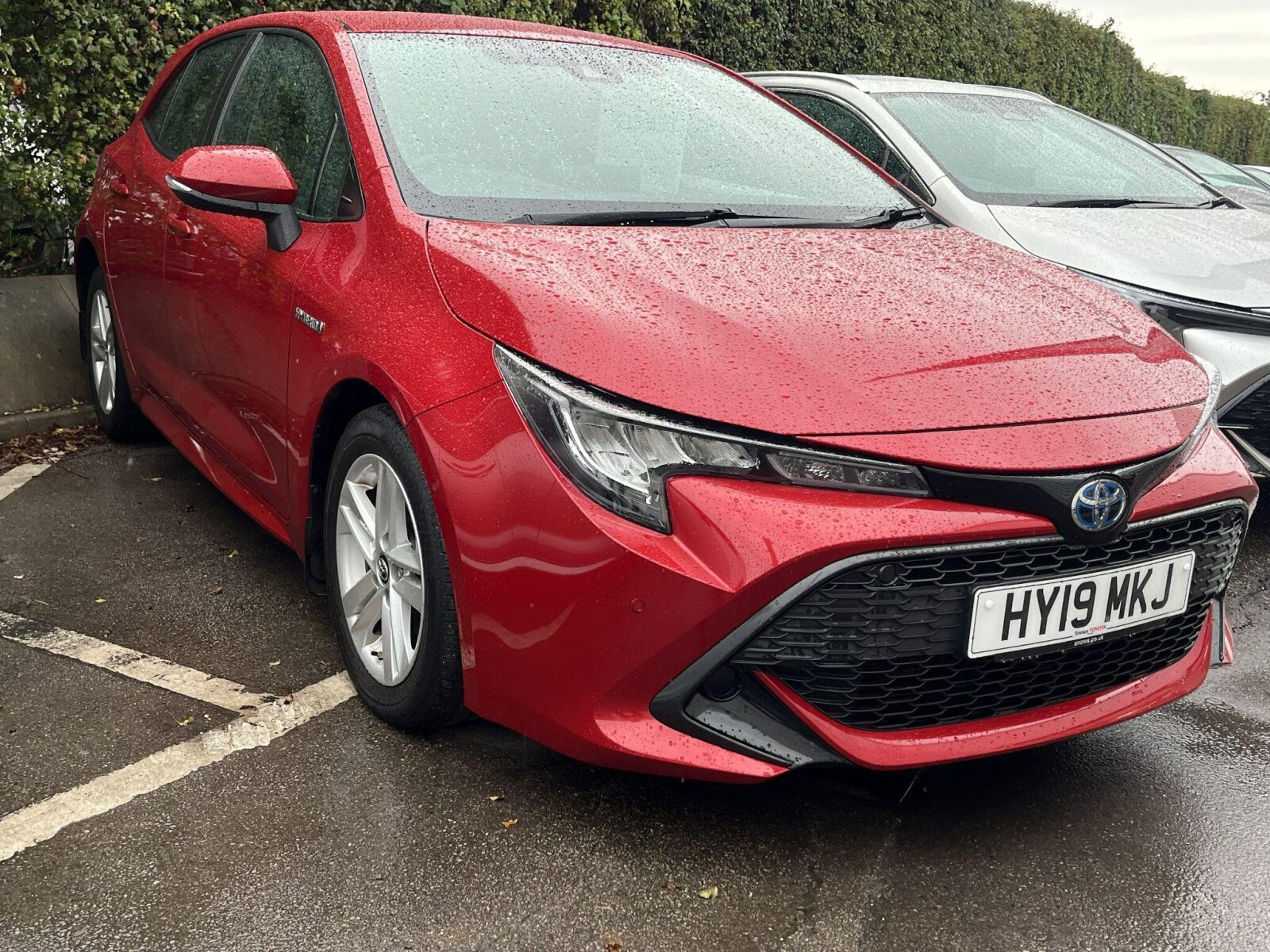 2019 Toyota Corolla