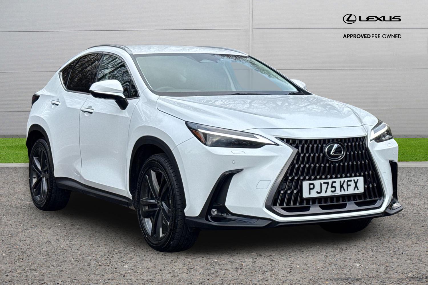 2025 Lexus NX