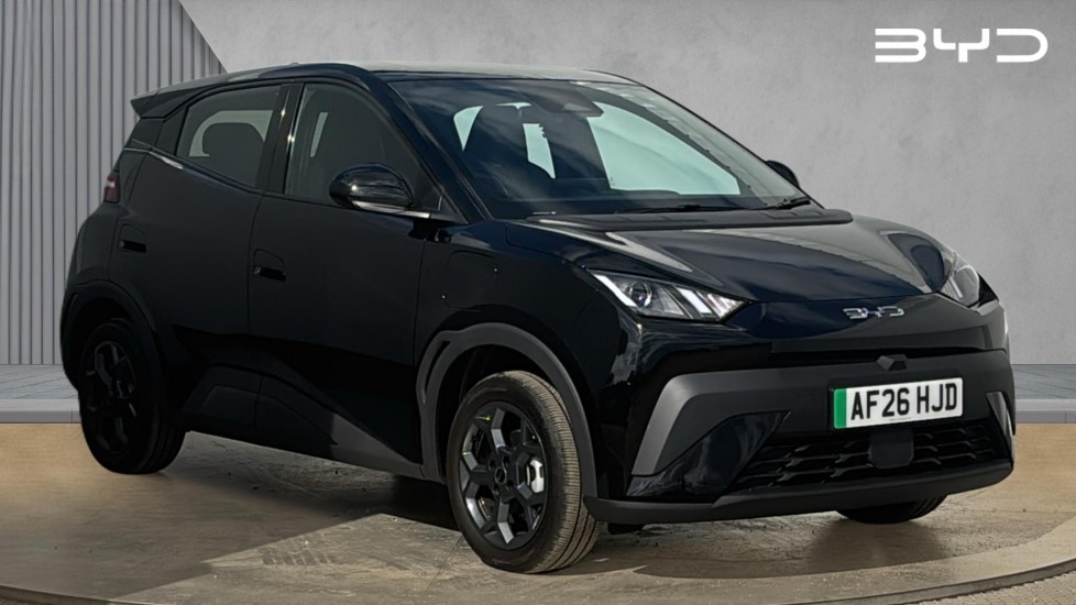 BYD DOLPHIN SURF