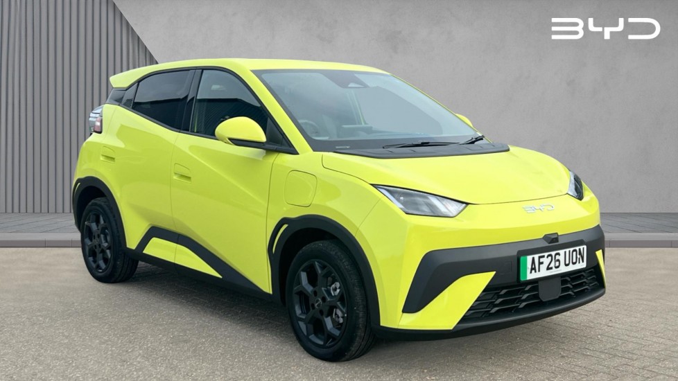 BYD DOLPHIN SURF