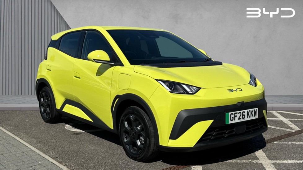 BYD DOLPHIN SURF
