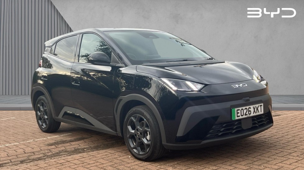 BYD DOLPHIN SURF