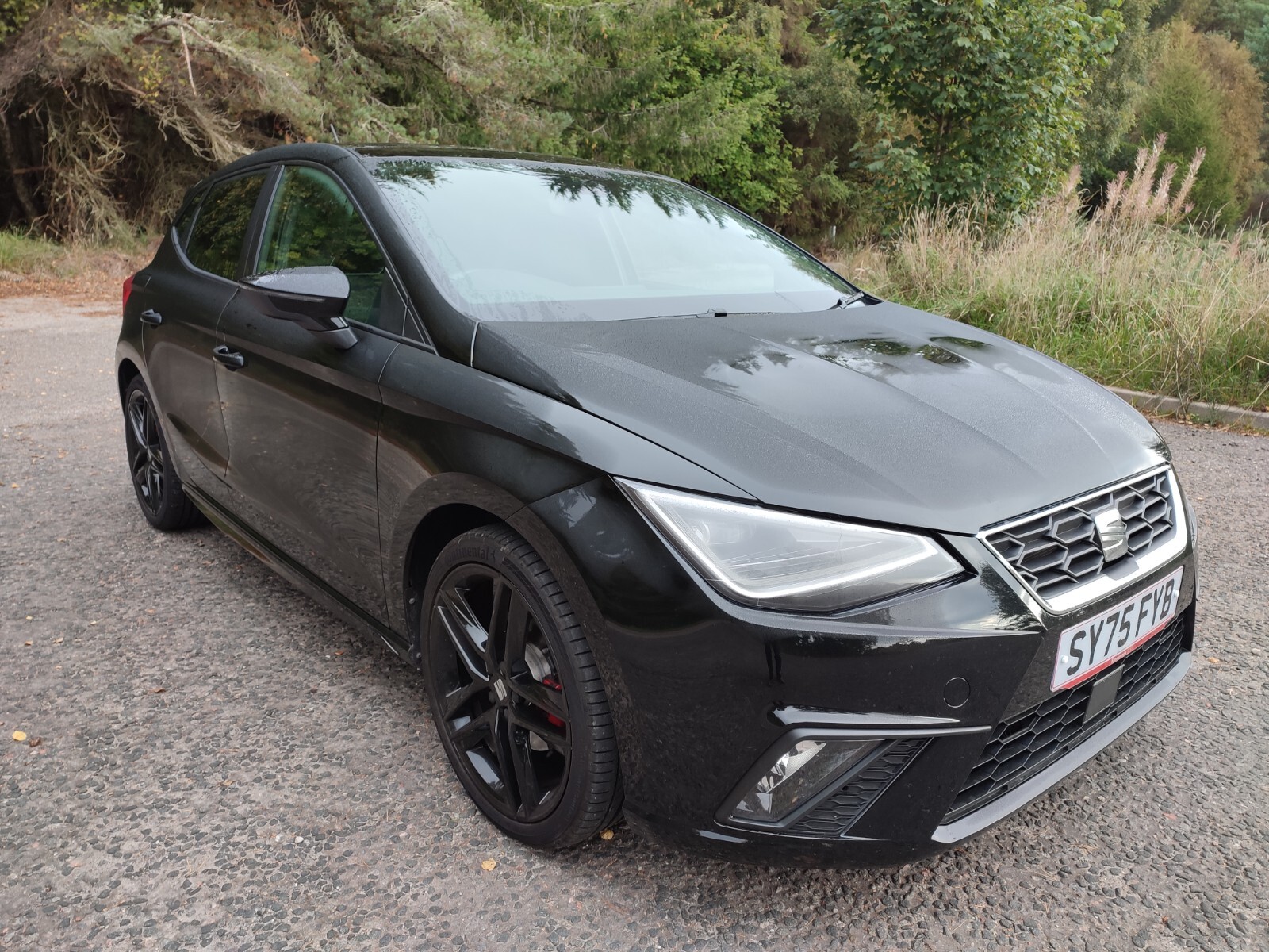 2025 SEAT Ibiza