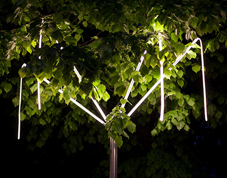 BORDERLIGHT | PROGRAMMA Albero