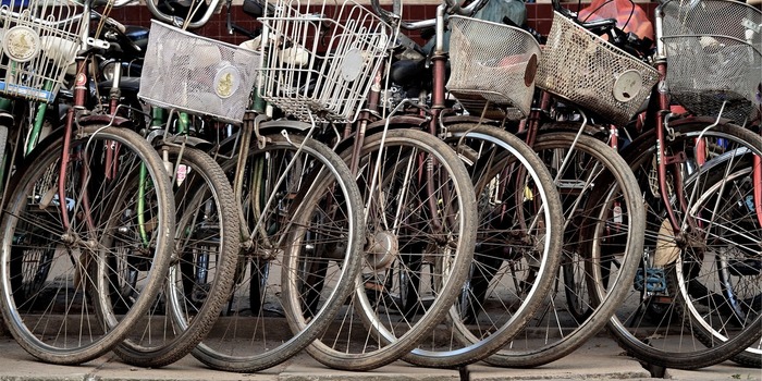 Castagne perenni di ciclabile - progettare la mobilità - Bikes-698676_1280