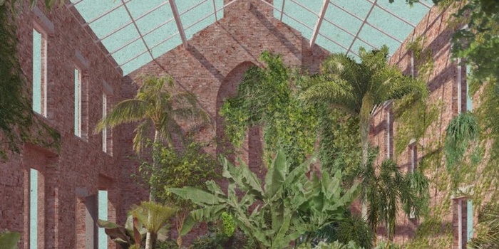 LA RIGENERAZIONE E' UN'ARTE! Greenhouse-view