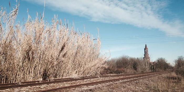 A Chiaravalle, cultura e paesaggio per rifondare relazioni tra persone Ferrovia_dismessa_-_ph_marta_bertani