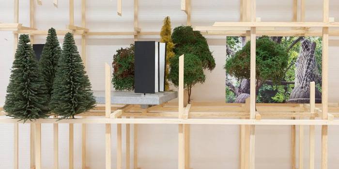 Un racconto per immagini Progetto_citt%c3%a0_ideale_1