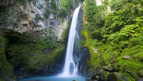 Amazing Rain Forest Ourboox