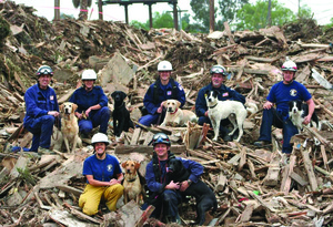 5 Amazing Examples of Dog Heroism