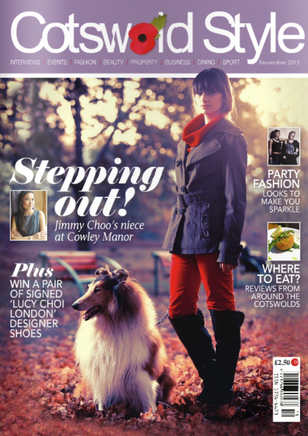 Cotswold Stepping Out Cover