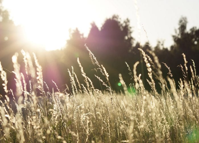 Five ways to cope with the end of daylight savings