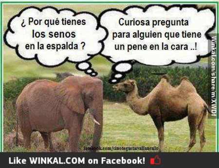 chistes de sabado chistes de sabado