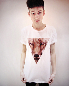 Triangle Fox