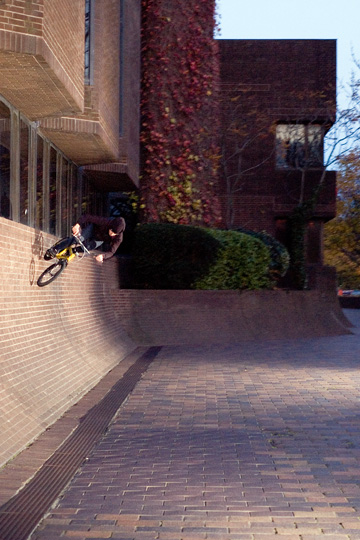 law courts carve