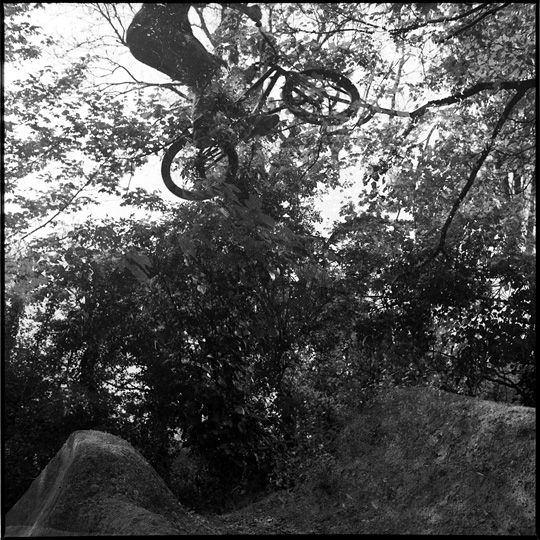 woods/double exposure