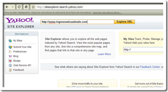 Yahoo Site Explorer