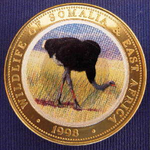 El Gallina