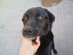 Juanmanuel