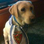 Pilvira