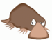 Quirin