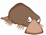 Quirin