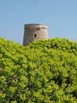 Alcaufar