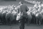 Pastordefondos