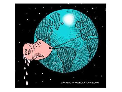 Pig World
