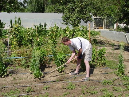 Volveremos todos al campo...de la ciudad al campo, a tener todos nuestra propia huerta...