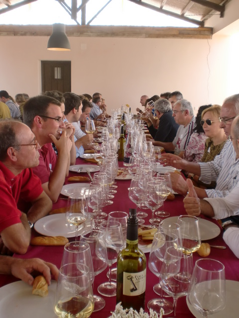 Foto comida