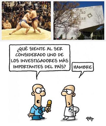 ¿Toda la cultura es igual?