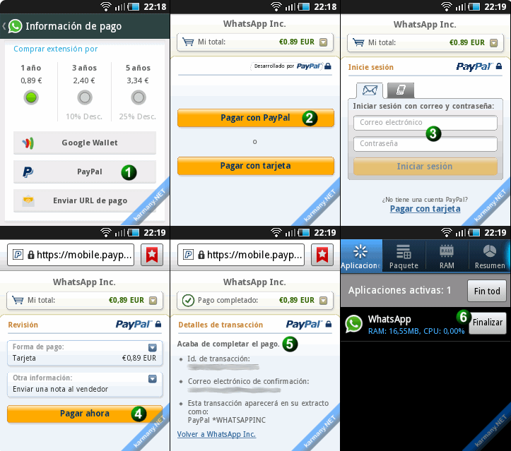 pago whatsapp paypal