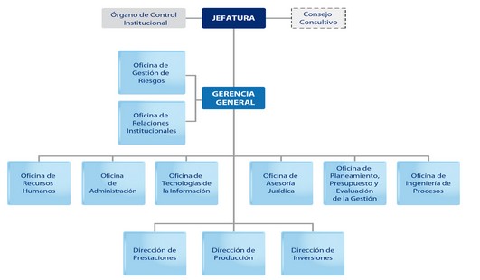 Organigrama ONP
