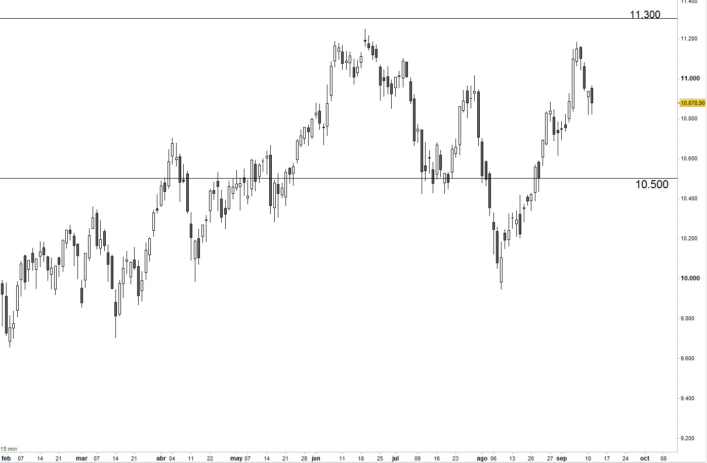 Ibex