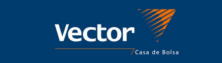 casa de bolsa vector