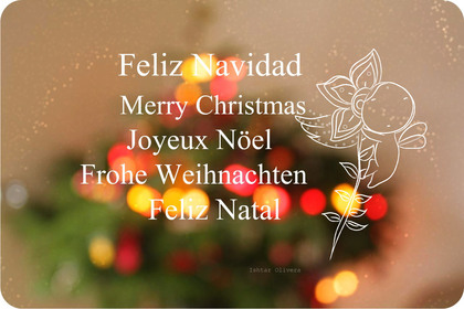 Feliz Navidad