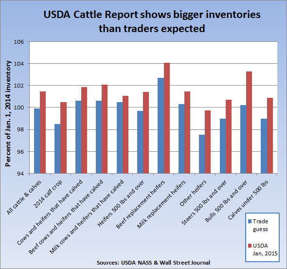 USDA Cattle Report