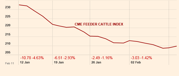 Feeder cattle index 1 month