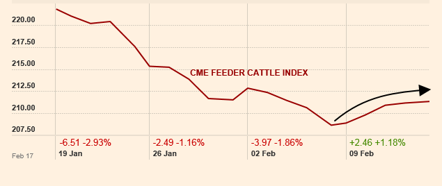 feeder cattle index