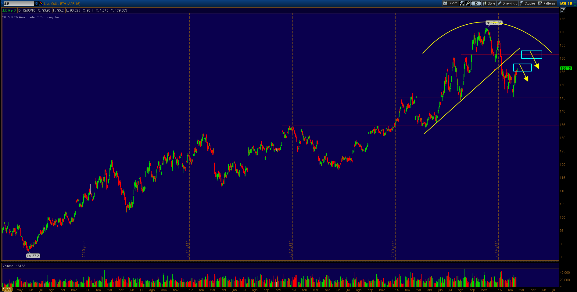 Live Cattle corona de Rey